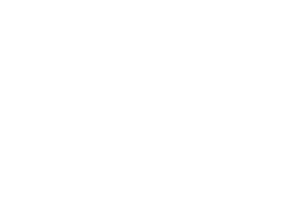 AutoPeritus