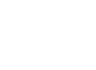 AutoPeritus